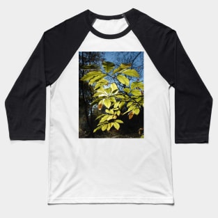 Sweet Chestnut Leaves Baseball T-Shirt